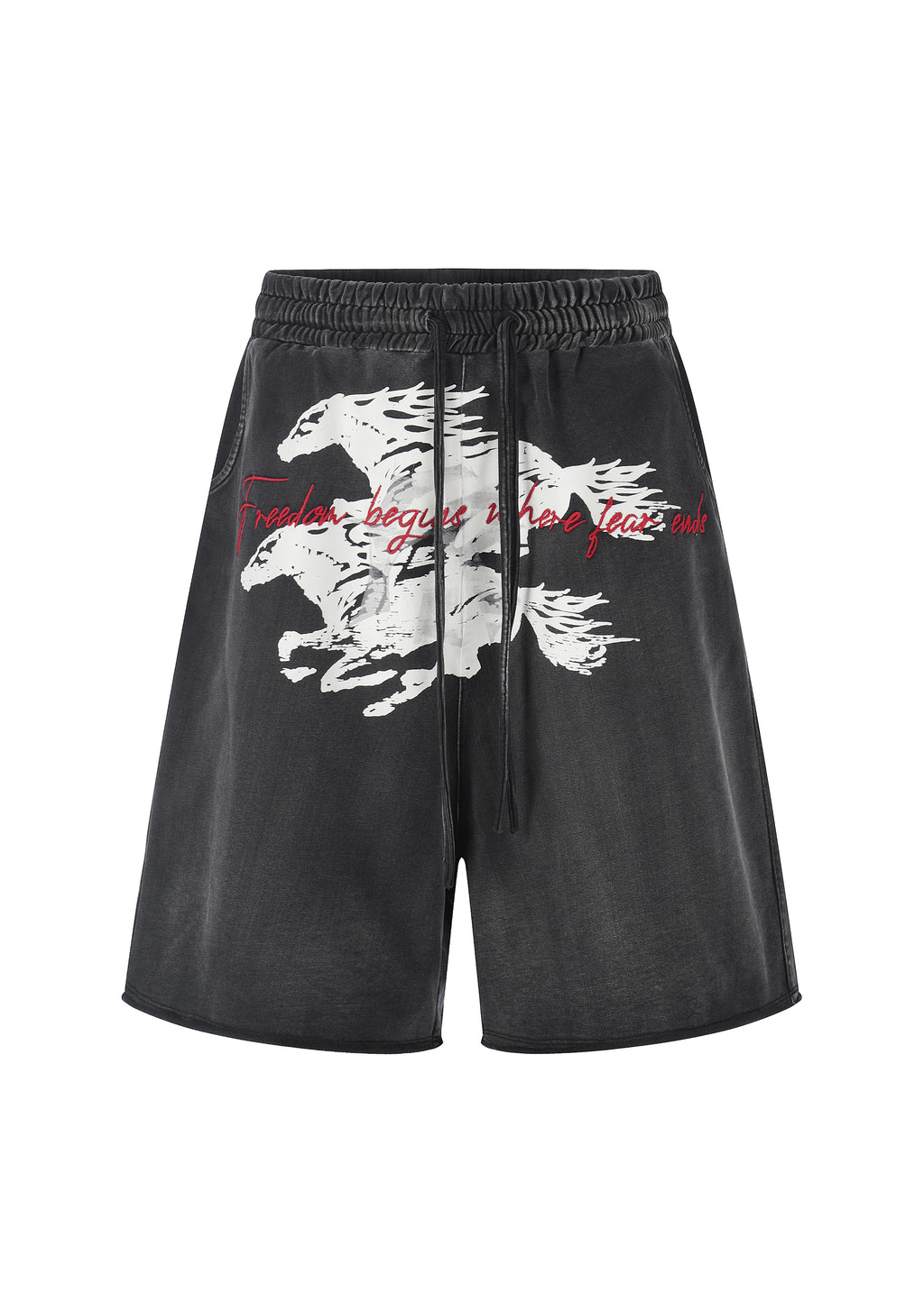 Twin FR Warhorse Embroidery Patch Loose Washed Five-Point Shorts FR339