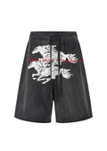 Twin FR Warhorse Embroidery Patch Loose Washed Five-Point Shorts FR339