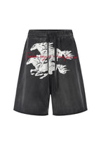Twin FR Warhorse Embroidery Patch Loose Washed Five-Point Shorts FR339
