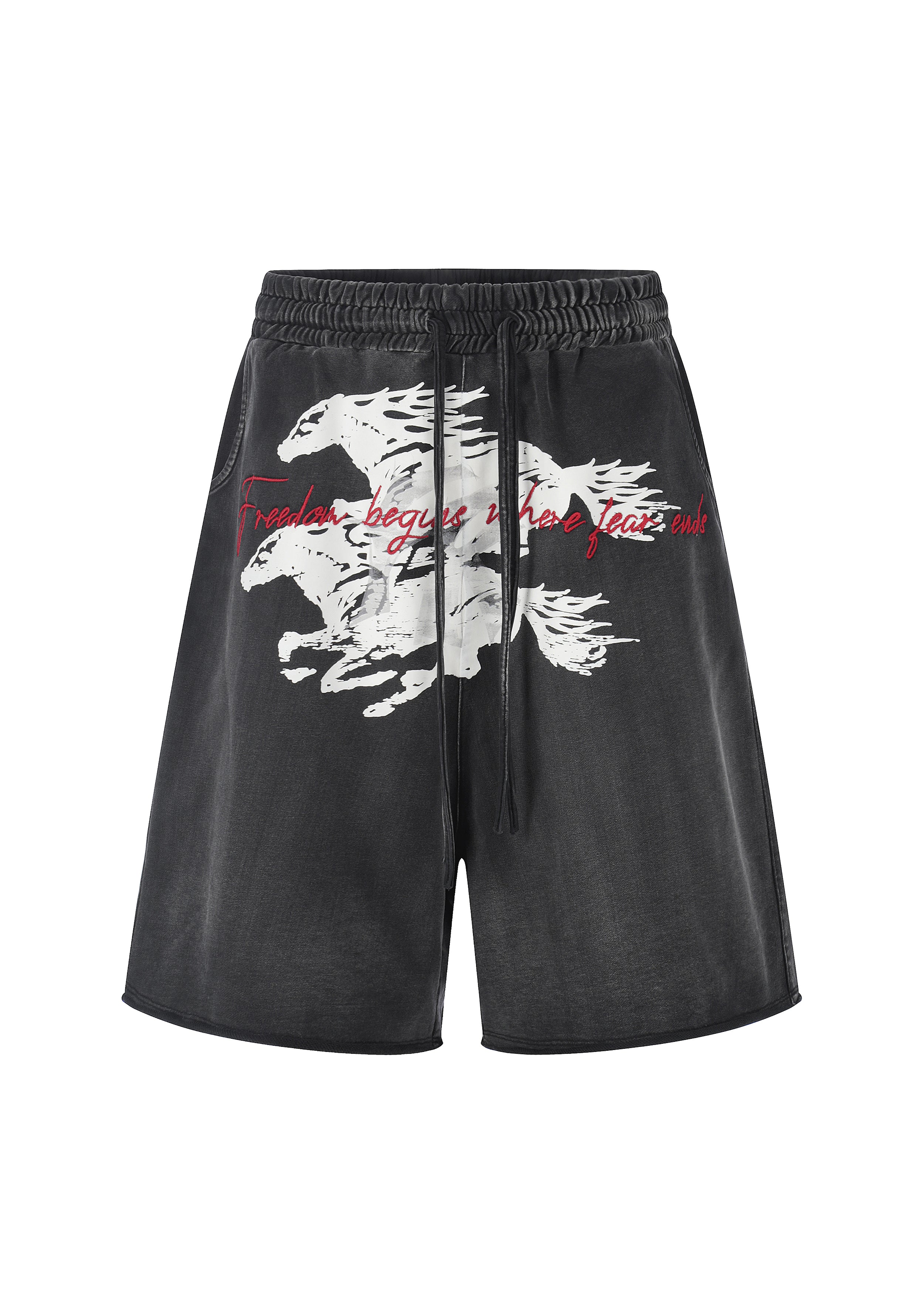 Twin FR Warhorse Embroidery Patch Loose Washed Five-Point Shorts FR339